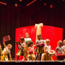 VDK_XMAS2017_FINEARTFOTOS (225) MINIS