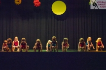 VDK_SOMMER2018 (108) MINIS