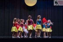 VDK_SOMMER2018 (295) MINIS