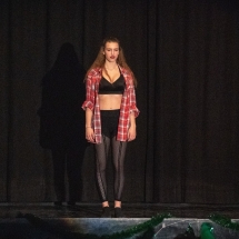 VDK_XMAS2018_HOLUBA FLORENTINA_LOGIC (1)