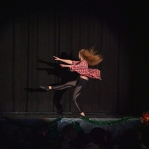 VDK_XMAS2018_HOLUBA FLORENTINA_LOGIC (5)