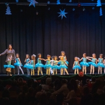 VDK_XMAS2018_MINIS_EISKOENIGIN (2)