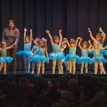 VDK_XMAS2018_MINIS_EISKOENIGIN (3)