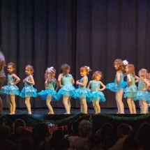 VDK_XMAS2018_MINIS_EISKOENIGIN (4)