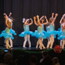 VDK_XMAS2018_MINIS_EISKOENIGIN (7)