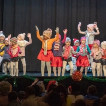 VDK_XMAS2018_MINIS_ES SCHNEIT (3)