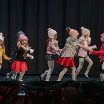 VDK_XMAS2018_MINIS_ES SCHNEIT (4)