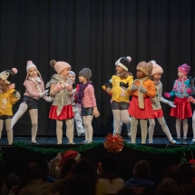 VDK_XMAS2018_MINIS_ES SCHNEIT (5)