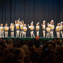 VDK_XMAS2018_MINIS_OBEN (2)