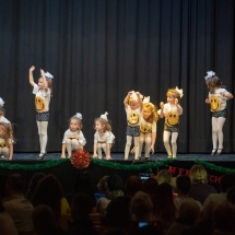 VDK_XMAS2018_MINIS_OBEN (4)