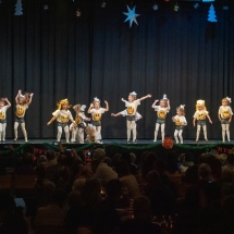 VDK_XMAS2018_MINIS_OBEN (5)