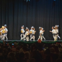 VDK_XMAS2018_MINIS_OBEN (6)