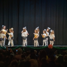 VDK_XMAS2018_MINIS_OBEN (7)