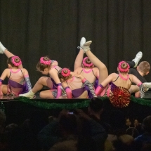 VDK_XMAS2018_POLKA GARDE_IRISH MIX (15)