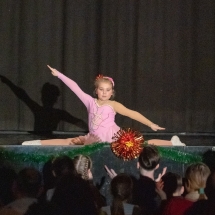 VDK_XMAS2018_STRNAD VIKTORIA_MAMMA MIA (11)