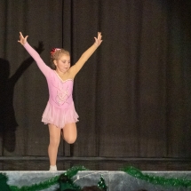 VDK_XMAS2018_STRNAD VIKTORIA_MAMMA MIA (4)