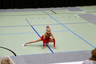 MIRIAM - IIG Korneuburg - AB - Kids Solo Garde-Solotanz bis 11 Jahre (11)